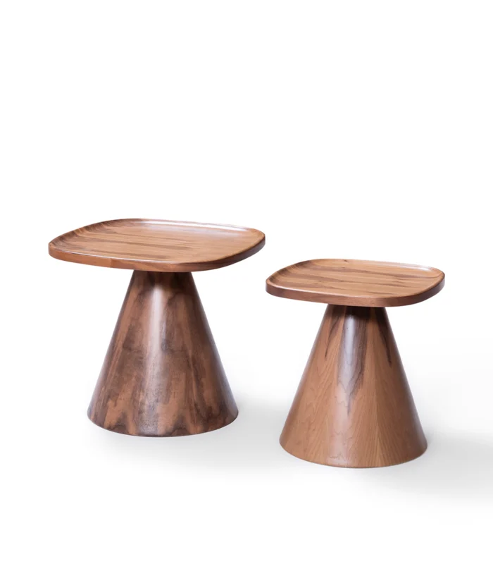 vovvahome Serenity Orta ve Yan Sehpa Takımı - Dark - Görsel 4